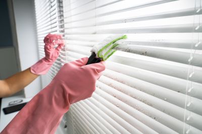 Cellular Shades Cleaning